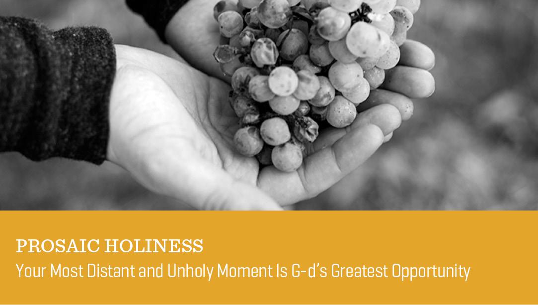 Prosaic Holiness