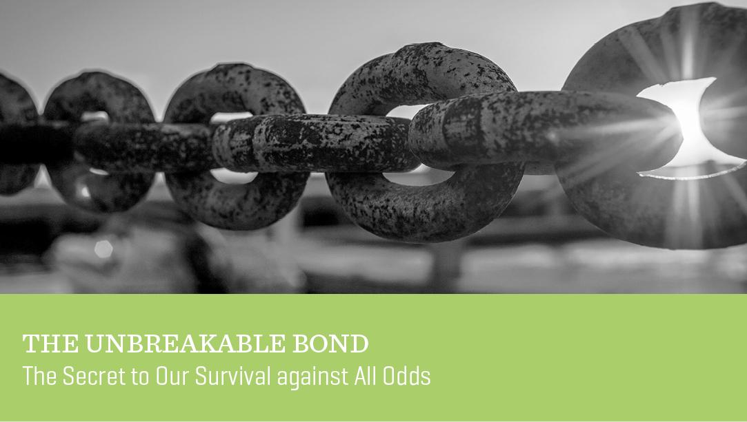 The Unbreakable Bond
