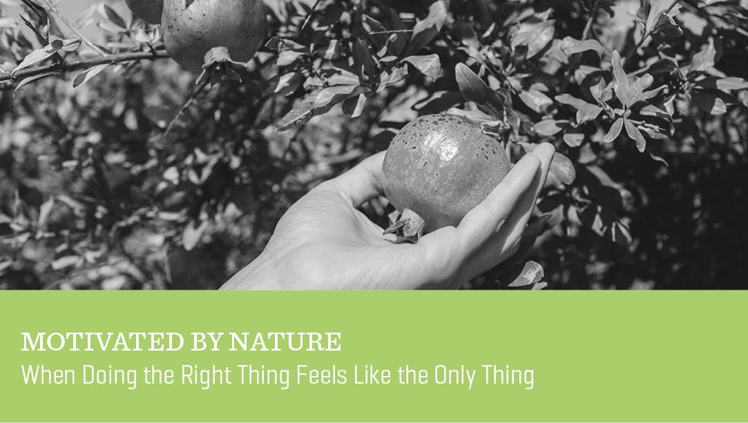 Motivated by Nature