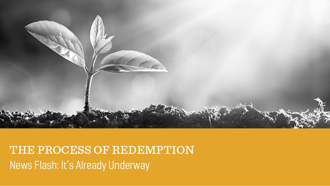 The Process of Redemption