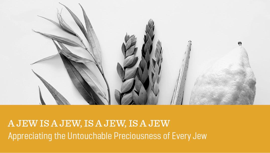 A Jew Is a Jew, Is a Jew, Is a Jew