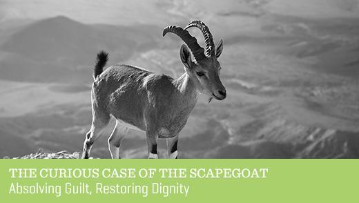 The Curious Case of the Scapegoat