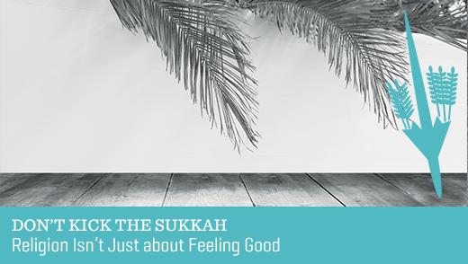 Don't Kick the Sukkah