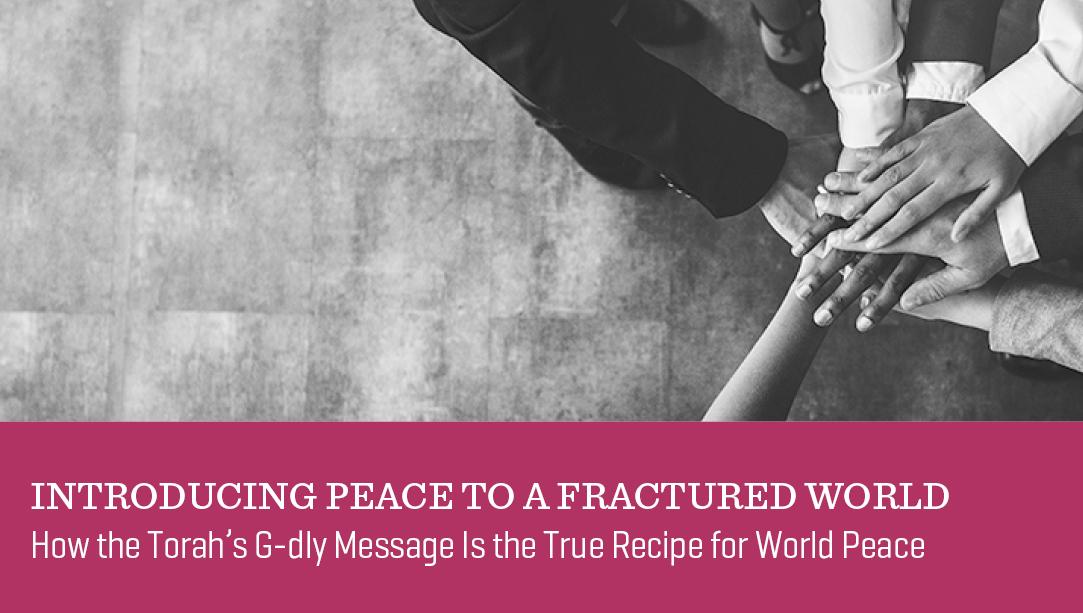 Introducing Peace to a Fractured World